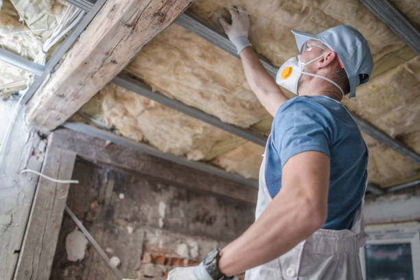 Types of Insulation We Offer in Carbondale, KS
