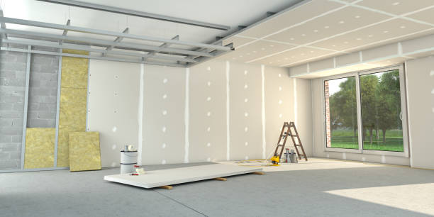 Best Specialized Insulation Services in Carbondale, KS