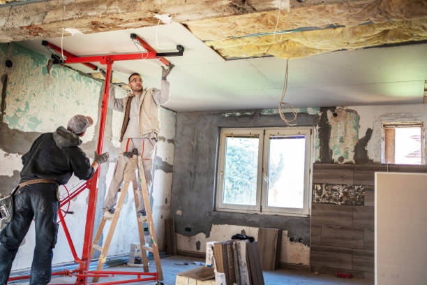 Best Blown-in Insulation in Carbondale, KS