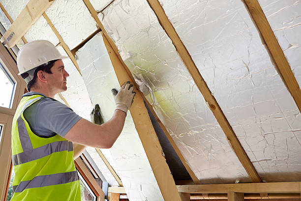 Best Cellulose Insulation in Carbondale, KS